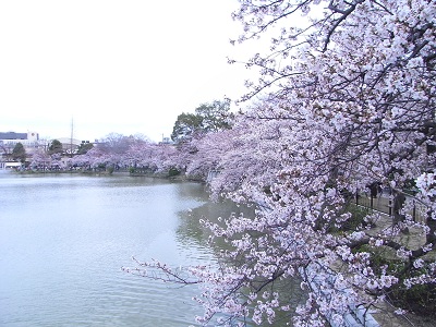 a0251851_046266.jpg