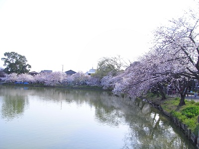 a0251851_0482129.jpg