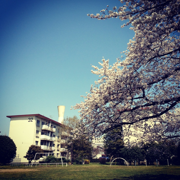 c0138553_2027734.jpg