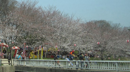 d0031853_3440100.jpg