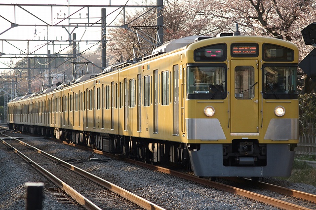 b0002858_23334430.jpg