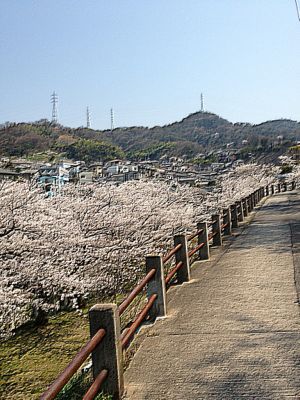 a0223160_10581656.jpg