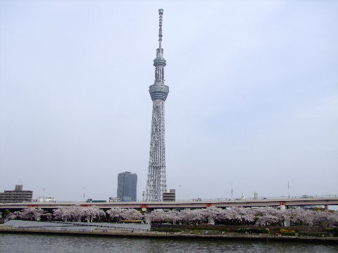 e0088260_22272147.jpg