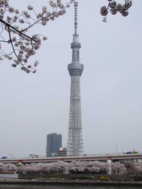 e0088260_22274644.jpg