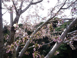 f0221360_2113019.jpg