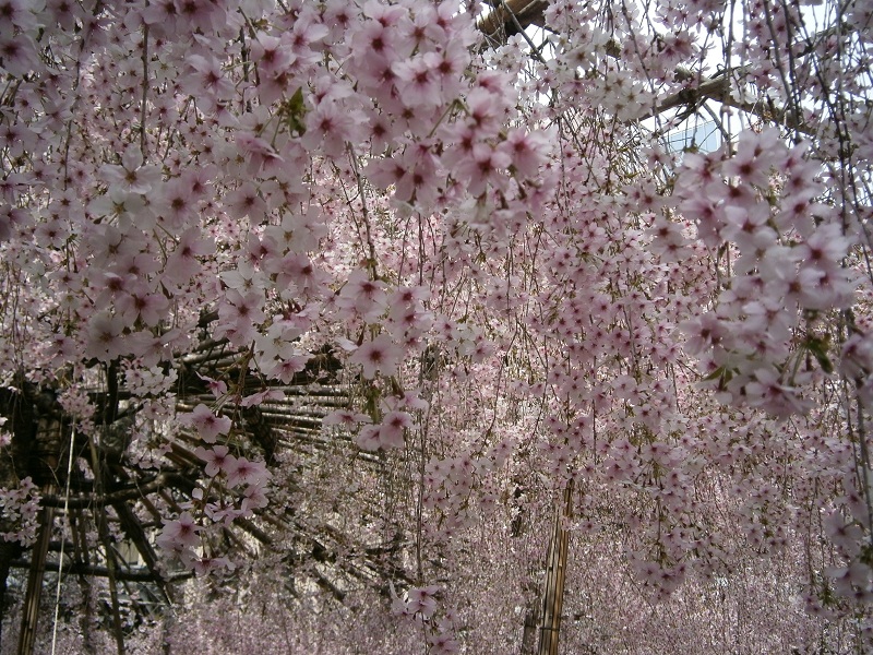 c0128862_1936943.jpg