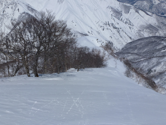 b0164568_6551349.jpg