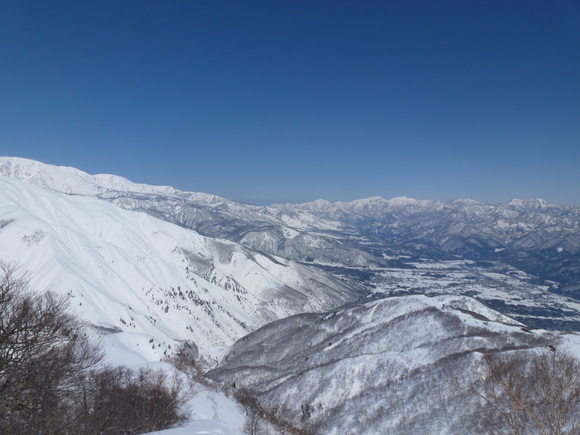 b0164568_6554081.jpg