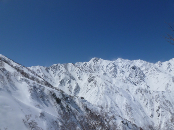 b0164568_6555597.jpg