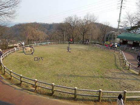 e0107171_562028.jpg