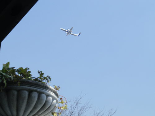 e0143671_10162541.jpg