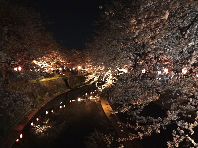 e0004173_2059720.jpg
