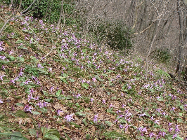 a0191674_20472259.jpg
