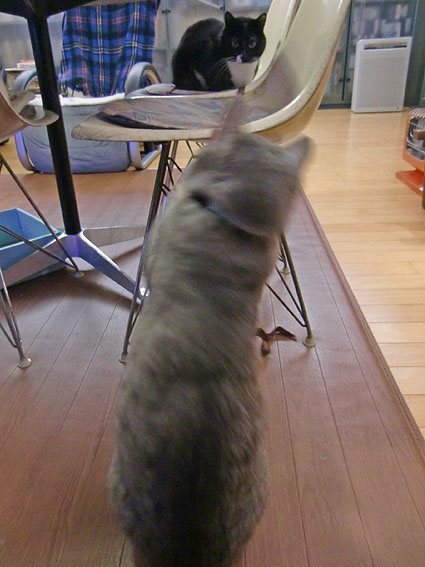 c0226874_1221470.jpg
