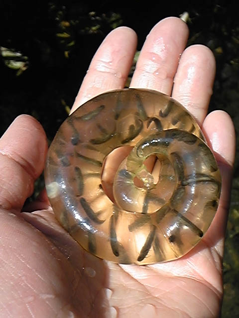 e0118274_19491258.jpg