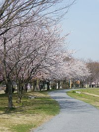 b0004675_22191156.jpg