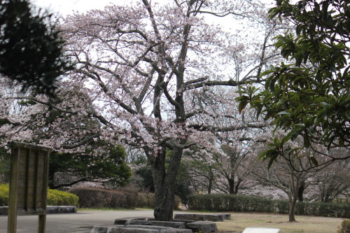 e0114977_0203297.jpg