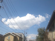 a0036780_22171218.jpg