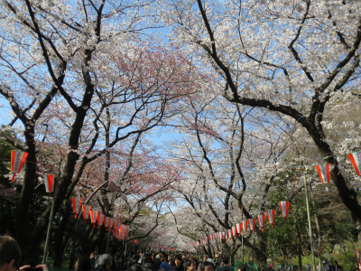 a0038882_1916918.jpg