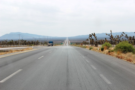 e0172085_1319212.jpg