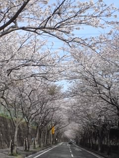 c0035386_14152594.jpg
