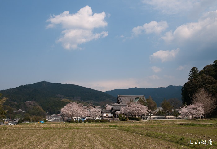 e0092186_911120.jpg