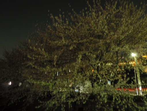 b0225187_2354298.jpg