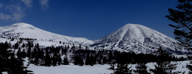 a0007388_12332789.jpg
