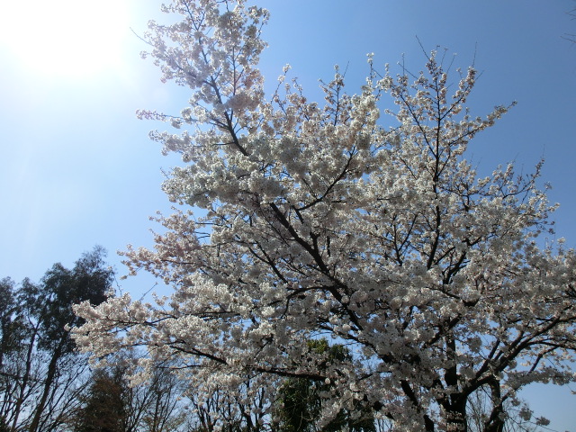 b0203588_8143091.jpg