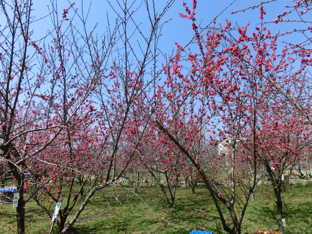 b0203588_816112.jpg