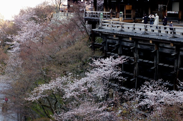 b0080789_14361148.jpg