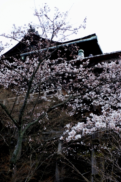 b0080789_14363931.jpg