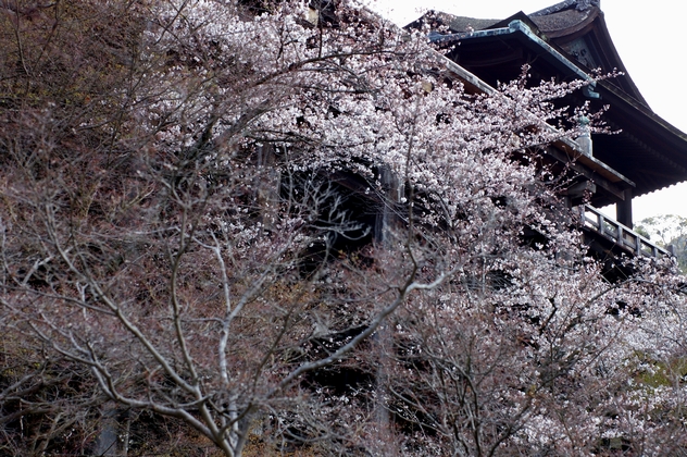 b0080789_1437019.jpg
