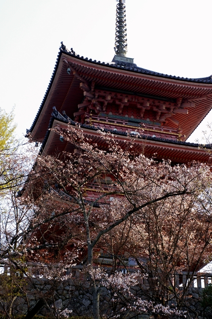b0080789_14371617.jpg