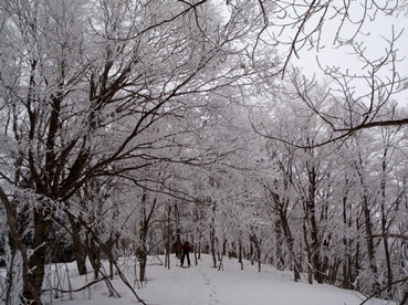 c0018489_2353420.jpg