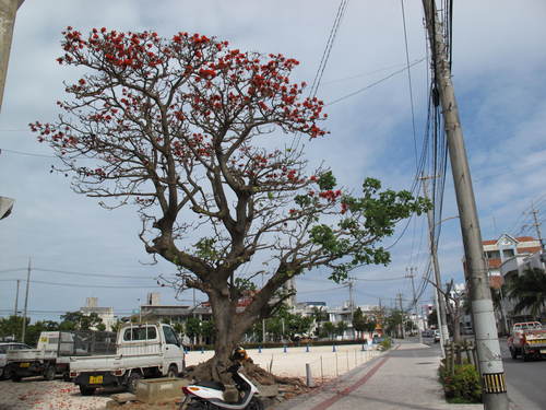 c0064389_13134082.jpg