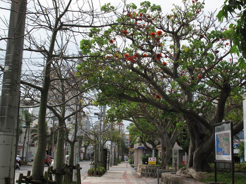 c0064389_13143394.jpg
