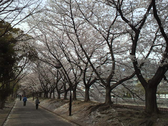 a0229491_1522560.jpg