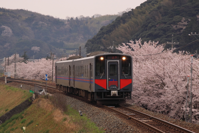b0114392_1143882.jpg