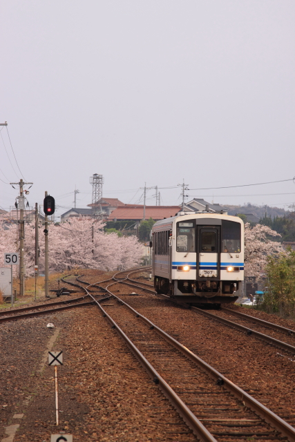b0114392_117830.jpg