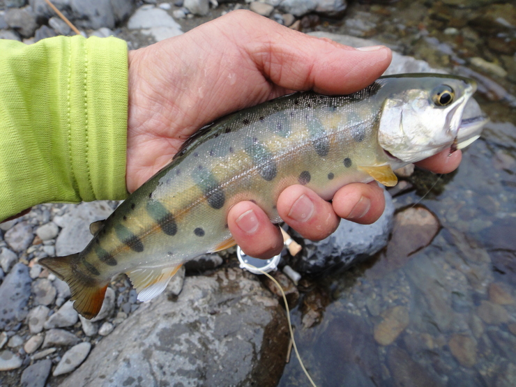 f0141392_22583370.jpg