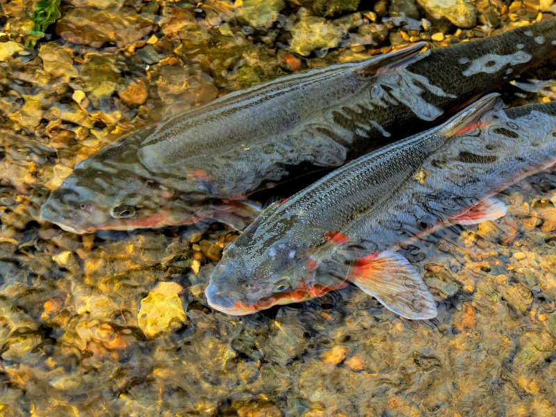 e0202393_7351215.jpg