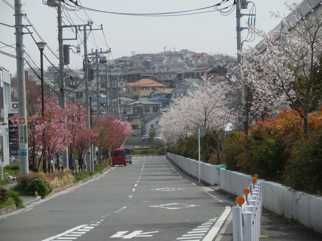 f0130894_19551655.jpg