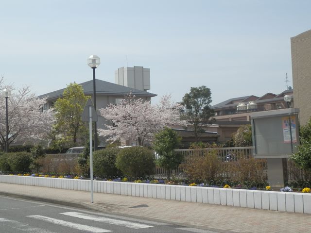 f0130894_19562840.jpg