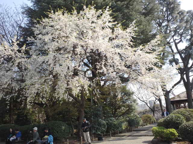 f0077595_153721100.jpg