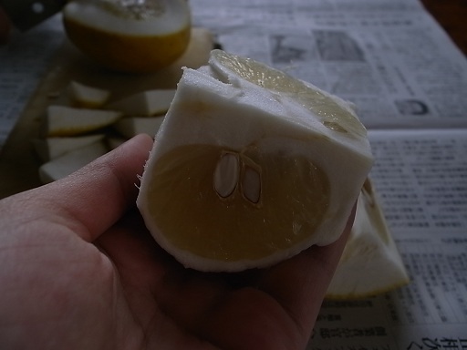 e0043700_2143930.jpg