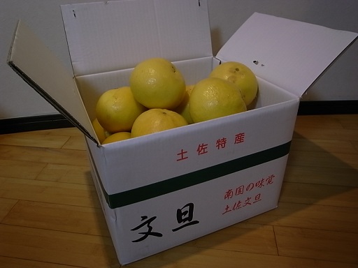 e0043700_2145618.jpg