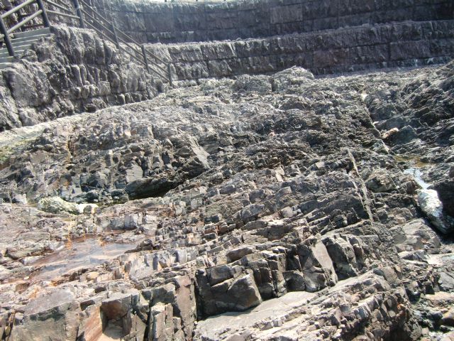 a0101404_8463468.jpg