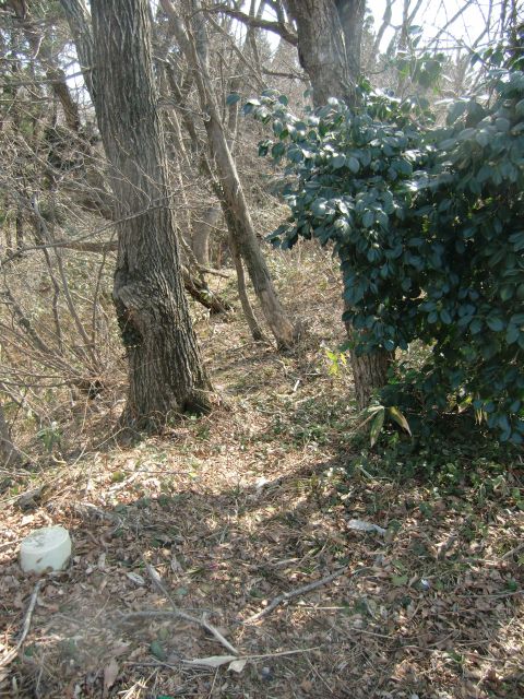 a0101404_8475764.jpg