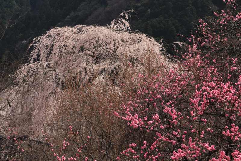 a0188405_9184081.jpg